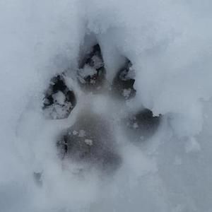 Meet your Posher, Ann